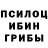 Галлюциногенные грибы прущие грибы Beks Beer