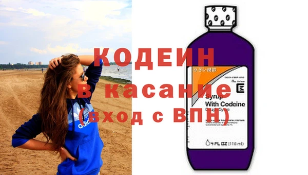 прущие грибы Дмитров