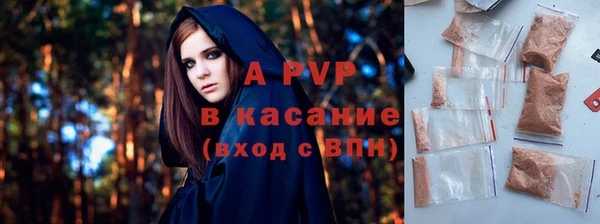 прущие грибы Дмитриев