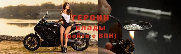 прущие грибы Дмитров