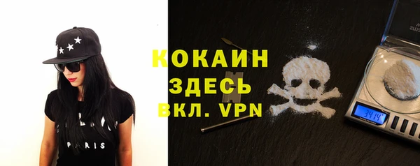 прущие грибы Дмитров