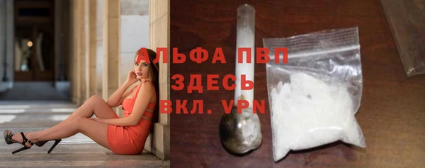 прущие грибы Дмитриев