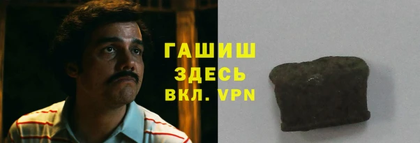 прущие грибы Дмитриев