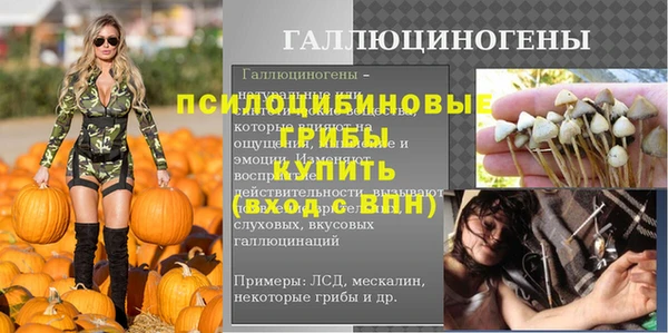прущие грибы Дмитров