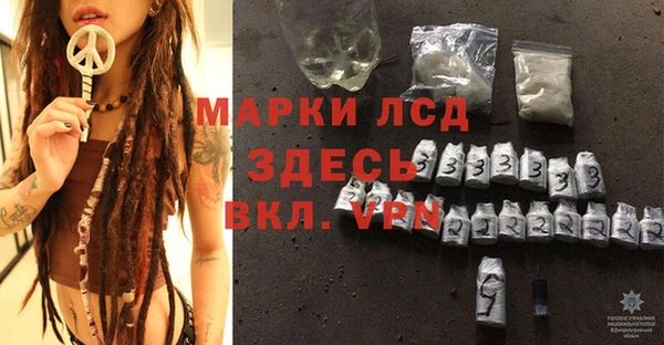 прущие грибы Дмитров