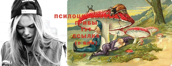 прущие грибы Дмитров