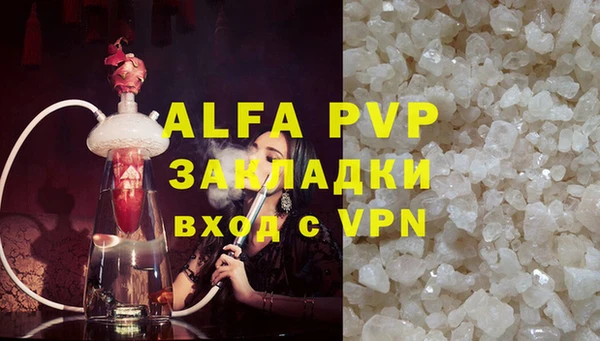 прущие грибы Дмитриев