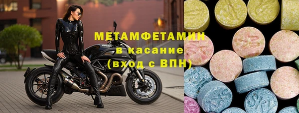 прущие грибы Дмитриев