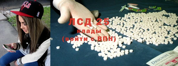 прущие грибы Дмитриев