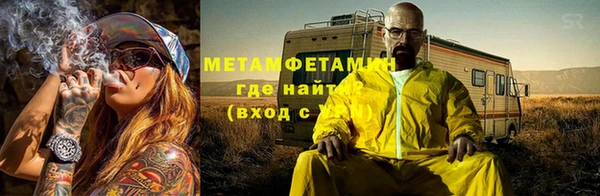 прущие грибы Дмитриев