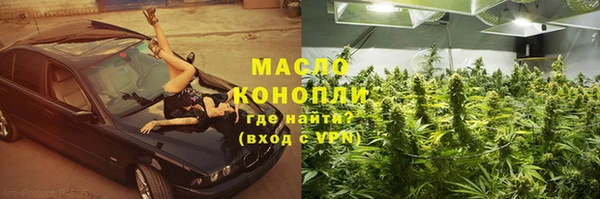 прущие грибы Дмитров