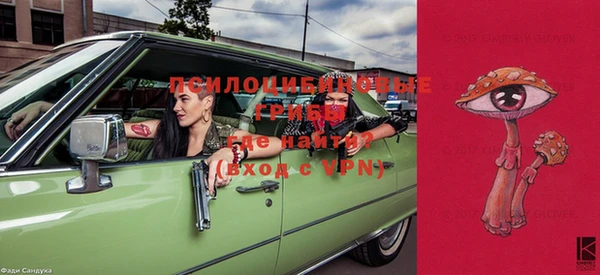 прущие грибы Дмитриев