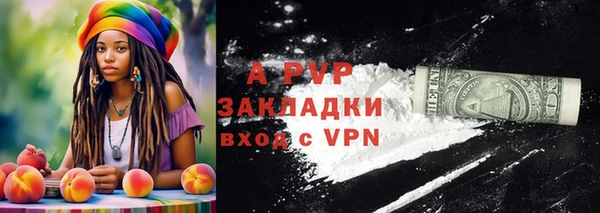 прущие грибы Дмитров