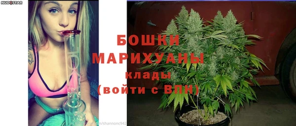 прущие грибы Дмитров